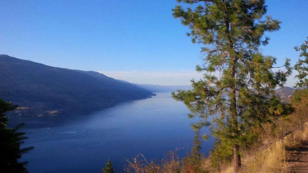 Kelowna's Game Industry is Growing