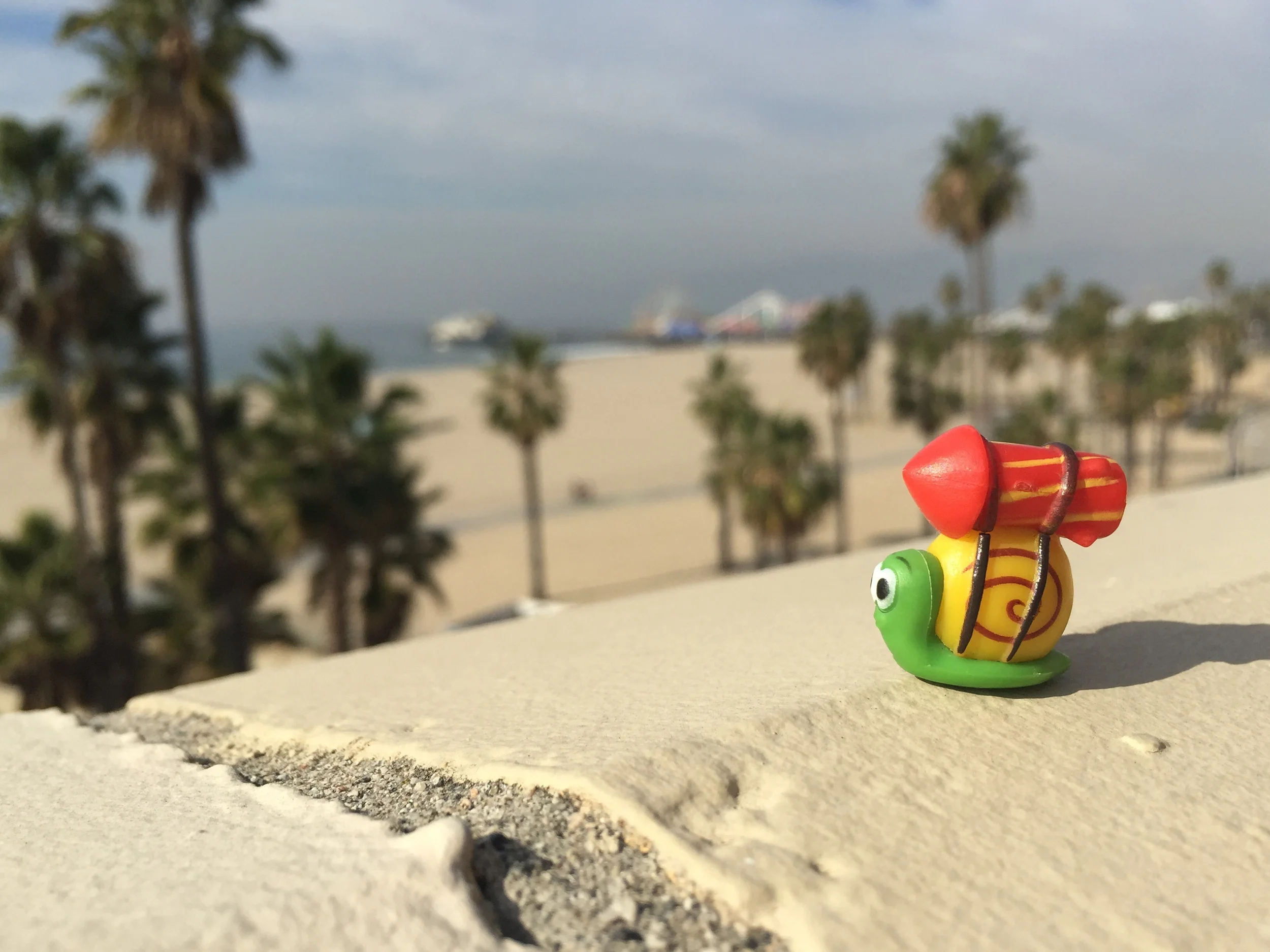 Adopt your own RocketSnail