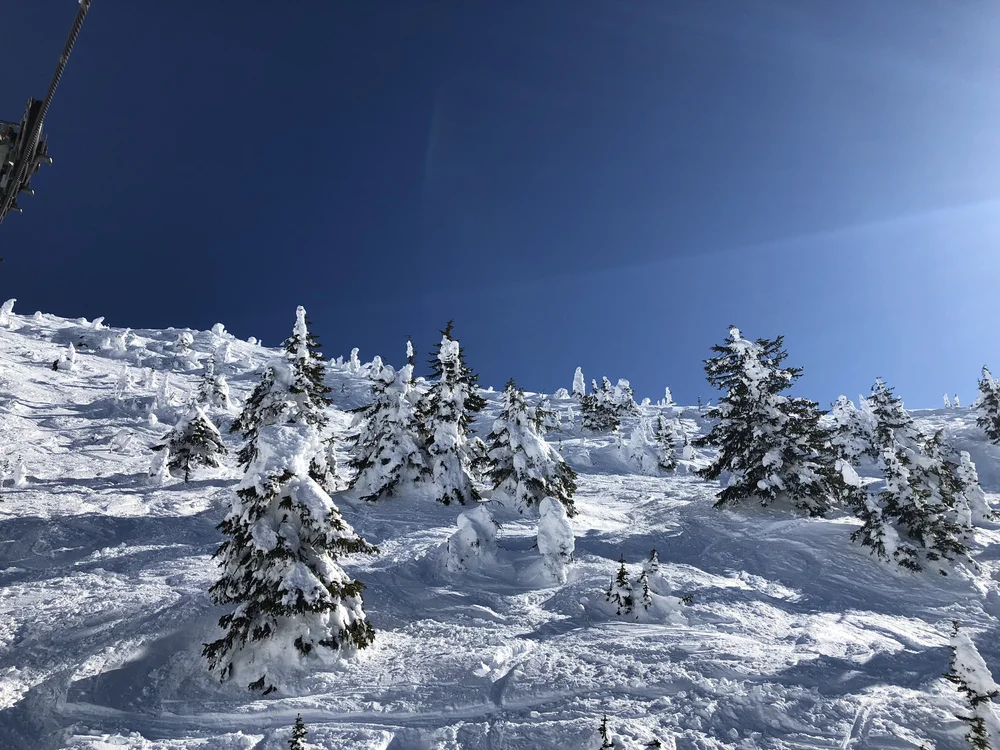 Creating Games and Starting Companies